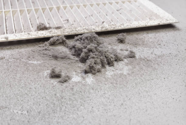 Best Dryer Vent Cleaning Services  in Snow Hill, MD